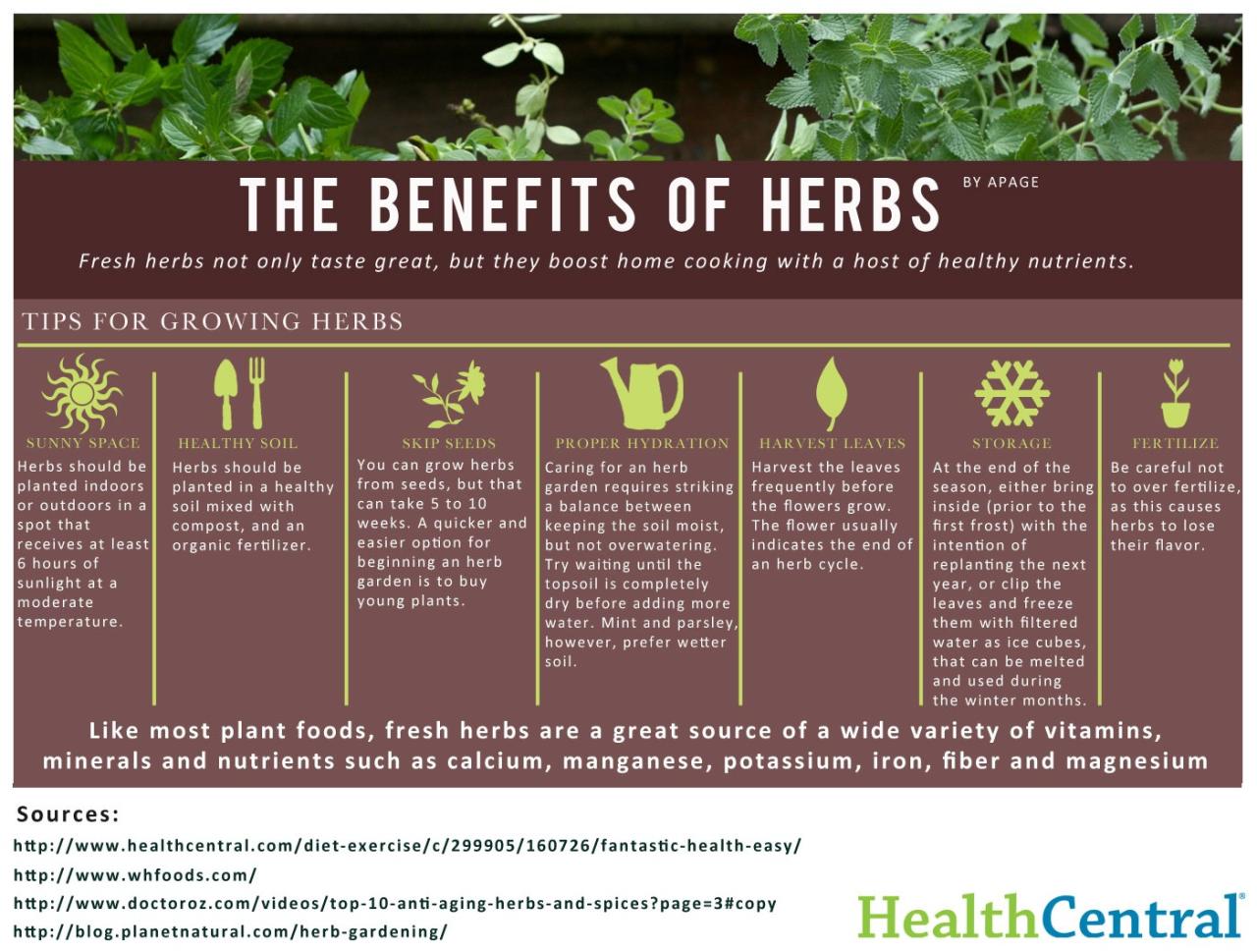 Why You Should Start Using Biota Herb Today for Better Health