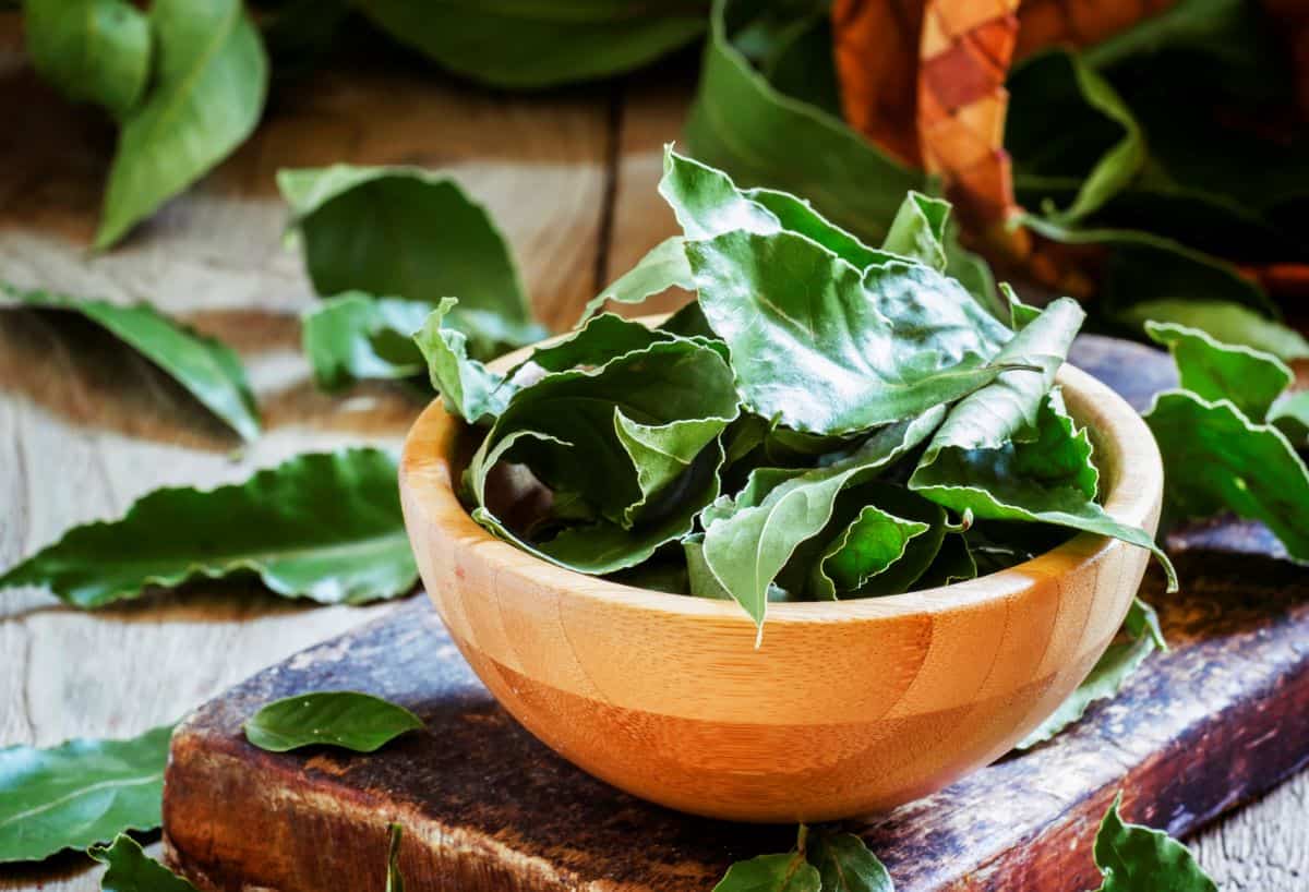 How to Get Amazing Results with Bay Leaf Substitutes