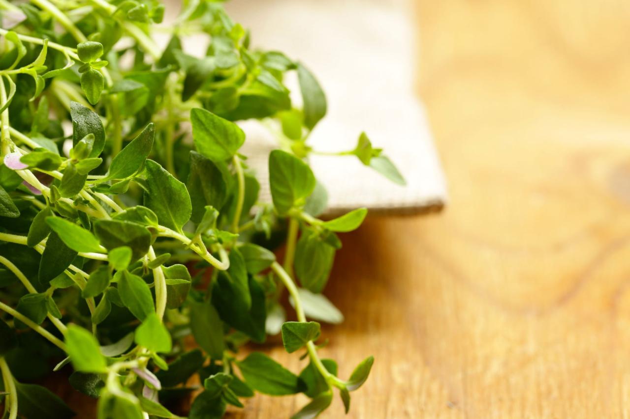 Unlock the Power of Thyme Piece in Your Favorite Recipes