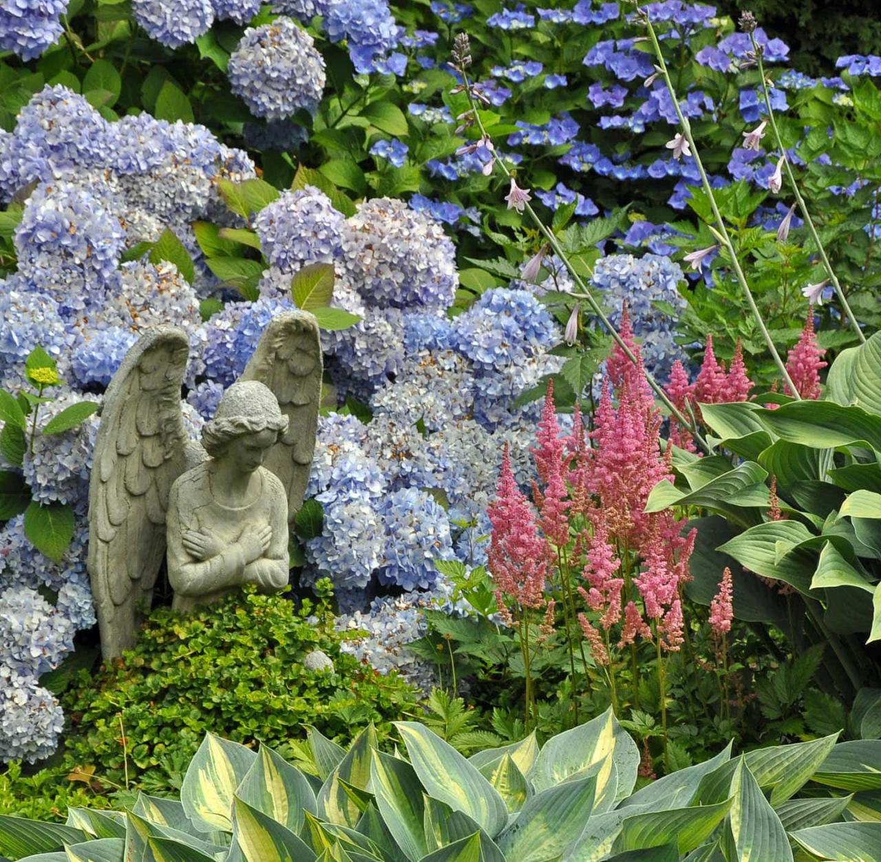 Hydrangea companion hebe helena wagner portland planting lejardinetdesigns