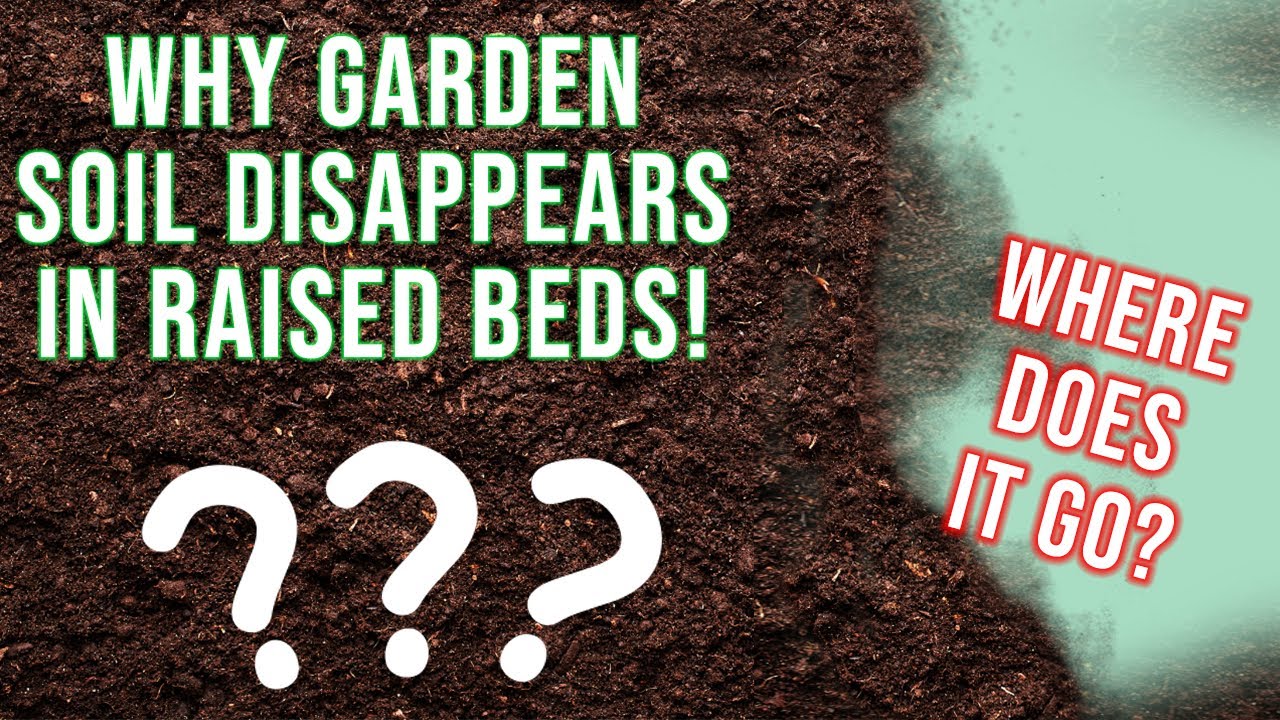 Why Some Plants Can Harm Your Raised Bed Soil