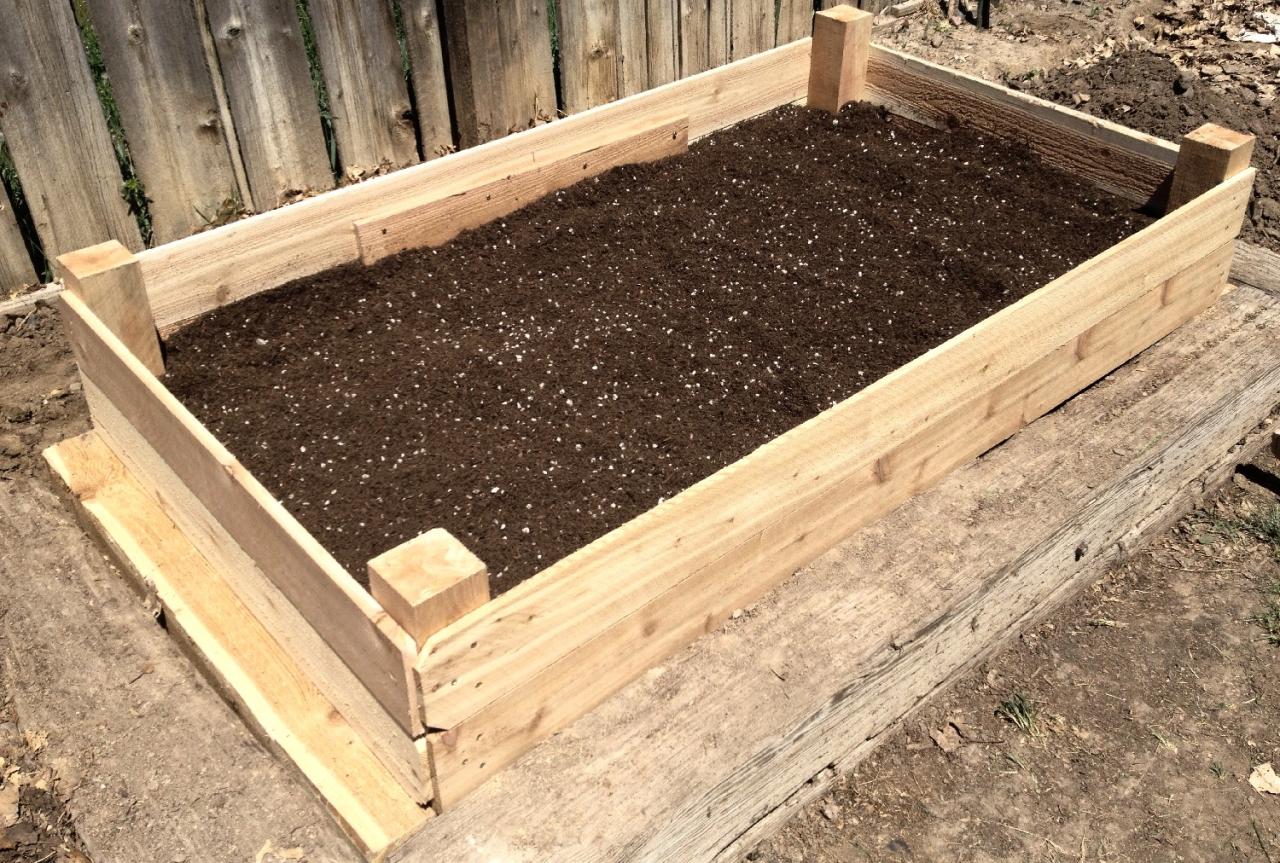 Why Some Plants Can Harm Your Raised Bed Soil